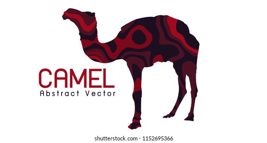 camel Abstract illustration vector 