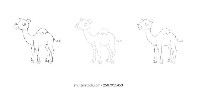camello, página de actividad, tres variaciones de grosor de puntos diferentes, juego de Vectores