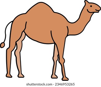 camel alpaca hoofed llama lama Outline