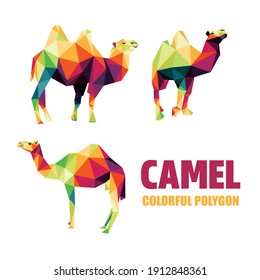 Camel Animal collection Set in Polygonal low poly. camel abstract vector. Vector of camel set in low poly