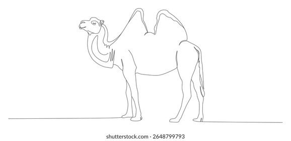 camel animal continuous line vector design