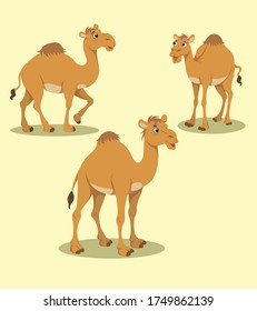 camel animal cute vector art wildlife cartoon