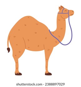 camel animal design illustration isolated