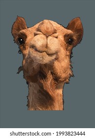 Camel Animal Face Design, Vektorgrafik zur Verwendung in Design und Print-Poster-Leinwand
