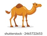 
Camel animal flat vector illustration on white background.