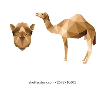 Camel Animal head logo in polygonal vector. Camel head front view illustration Low Poly Vector. Camel face polygonal logo icon for kids animal book