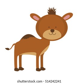 camel animal icon image 