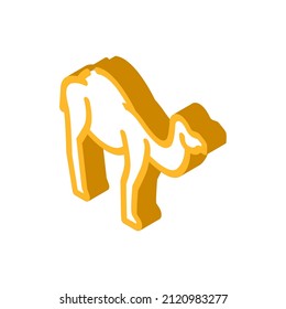 camel animal isometric icon vector. camel animal sign. isolated symbol illustration