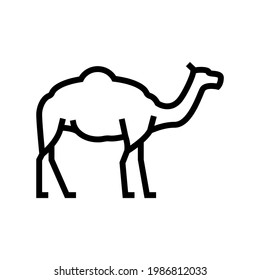 camel animal line icon vector. camel animal sign. isolated contour symbol black illustration