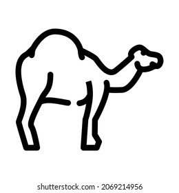 camel animal line icon vector. camel animal sign. isolated contour symbol black illustration
