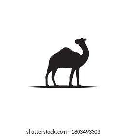 Camel animal logo design vector template