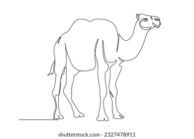 camel animal mammal full body length one single line art