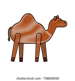 camel animal manger christmas cartoon