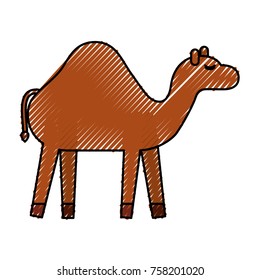 camel animal manger christmas cartoon