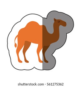 camel animal silhouette