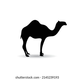 camel animal silhouette vector 
illustration