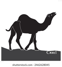 Camel animal silhouette. Vector image