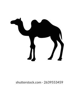 Camel animal silhouette. Vector image