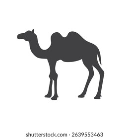 Camel animal silhouette. Vector image