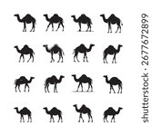 Camel Animal Silhouette Vector Set