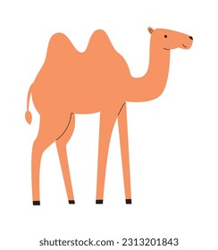 Camel Animal Staying Vector Illustration