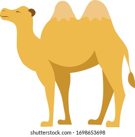 Camello, vector animal aislado sobre fondo blanco. Concepto de logotipo, icono, impresión  