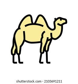 camel animal in zoo color icon vector. camel animal in zoo sign. isolated symbol illustration