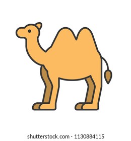 camel, animal in zoo icon set, filled outline design