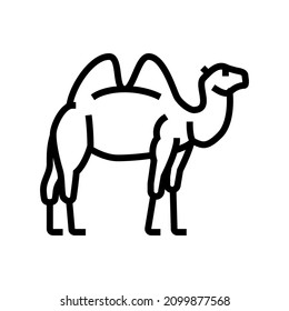 camel animal in zoo line icon vector. camel animal in zoo sign. isolated contour symbol black illustration