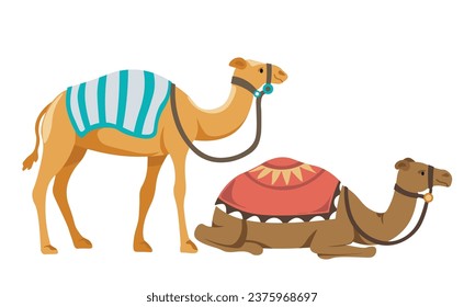 Animales de camello con cuerdas y cubiertas en la parte posterior para que el turista pueda sentarse. Aislada atracción turística y experiencia para viajeros. Mamíferos de viaje, vacaciones en los Emiratos Árabes Unidos. Vector de estilo plano