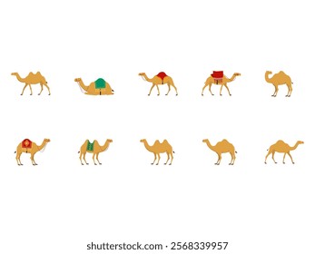Camel Arabian Design Element Set