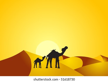 Camel and baby camel in the desert