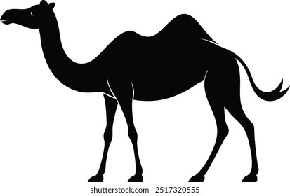 Camel hermoso Arte vectorial de silueta. Este es un archivo de Vector eps editable e imprimible.