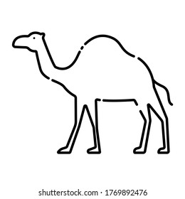 Camel black line icon. Pictogram for web page, mobile app, promo. UI UX GUI design element. Editable stroke