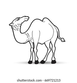 camel in black outline-vector drawing