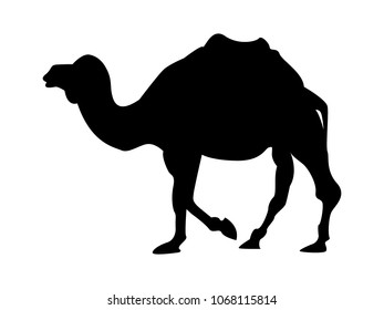 Camel black silhouette