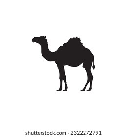 Camel black silhouette isolated on white background - Camel graphic icon.