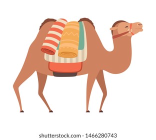 Camel with Bridle and Saddle, Desert Animal with Load, Side View Vector Illustration