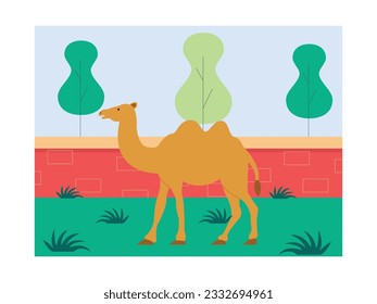 Camel in cage, animal from desert region of Asia and Africa, zoo vector illustration.