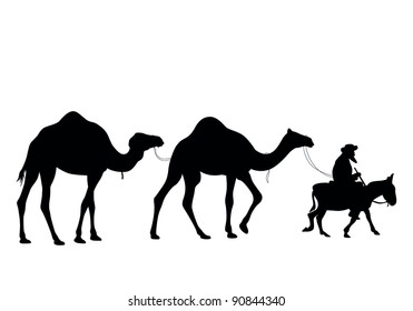 Camel caravan