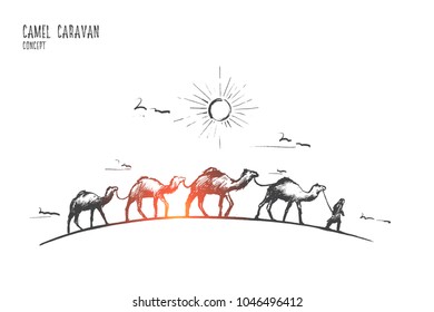 Camel caravan concept. Hand drawn camels walk through the desert. Caravan going through the sand dunes isolated vector illustration.