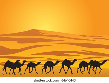 Camel caravan at desert