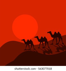 Camel caravan in desert cartoon vector. Two-humped desert animal group of three on red sunset landscape.