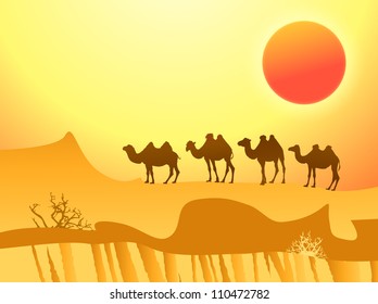 Caravana de camellos en el desierto con sol rojo