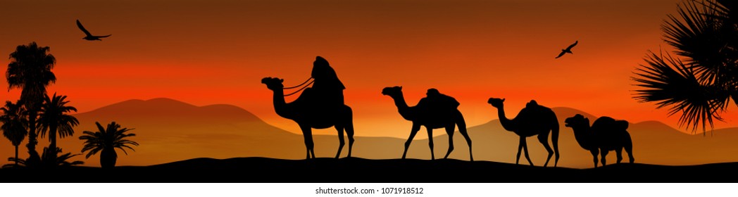 Camel caravan going through the desert on beautiful on sunset, vector illustration