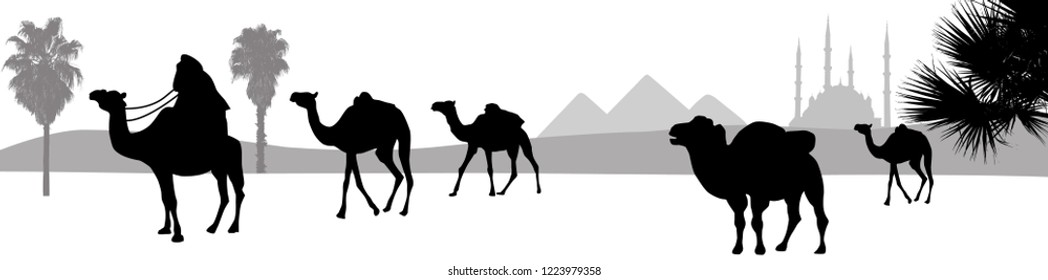 Camel caravan going through the desert, vector illustration