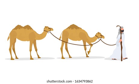 Camel caravan isolated on white background. A shepherd leads a camel. Vector.
