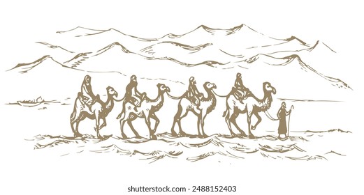 Camel caravan travels. Vector drawing