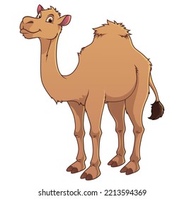 Camel Cartoon Animal Illustration Color