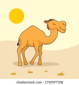 Camel Cartoon Animals in Desert